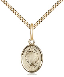 [0974GF/18G] 14kt Gold Filled Baptism Pendant on a 18 inch Gold Plate Light Curb chain
