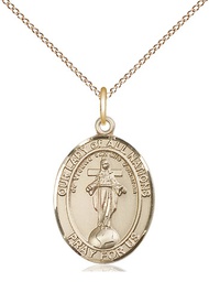 [8242GF/18GF] 14kt Gold Filled Our Lady of All Nations Pendant on a 18 inch Gold Filled Light Curb chain
