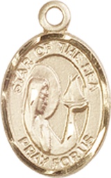 [9101KT] 14kt Gold Our Lady Star of the Sea Medal