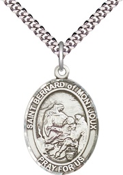[7264SS/24S] Sterling Silver Saint Bernard of Montjoux Pendant on a 24 inch Light Rhodium Heavy Curb chain