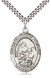 [7264SS/24S] Sterling Silver Saint Bernard of Montjoux Pendant on a 24 inch Light Rhodium Heavy Curb chain