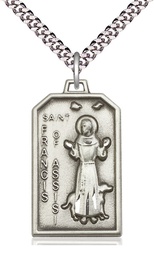 [5724SS/24S] Sterling Silver Saint Francis Pendant on a 24 inch Light Rhodium Heavy Curb chain
