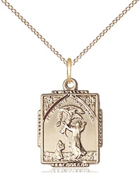 [0804FCGF/18GF] 14kt Gold Filled Saint Francis of Assisi Pendant on a 18 inch Gold Filled Light Curb chain