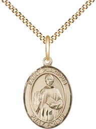 [8240GF/18G] 14kt Gold Filled Saint Placidus Pendant on a 18 inch Gold Plate Light Curb chain
