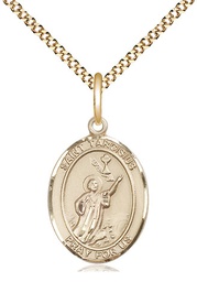[8261GF/18G] 14kt Gold Filled Saint Tarcisius Pendant on a 18 inch Gold Plate Light Curb chain