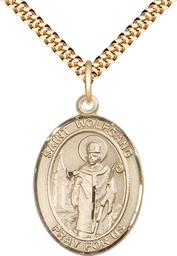 [7323GF/24G] 14kt Gold Filled Saint Wolfgang Pendant on a 24 inch Gold Plate Heavy Curb chain