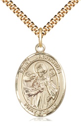 [7351GF/24G] 14kt Gold Filled Saint Januarius Pendant on a 24 inch Gold Plate Heavy Curb chain