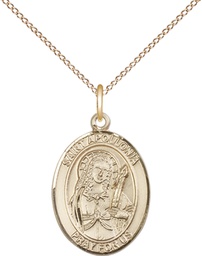 [8005GF/18GF] 14kt Gold Filled Saint Apollonia Pendant on a 18 inch Gold Filled Light Curb chain