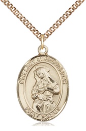 [7087GF/24GF] 14kt Gold Filled Our Lady of Providence Pendant on a 24 inch Gold Filled Heavy Curb chain