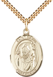 [7027GF/24G] 14kt Gold Filled Saint David of Wales Pendant on a 24 inch Gold Plate Heavy Curb chain