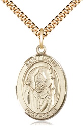 [7027GF/24G] 14kt Gold Filled Saint David of Wales Pendant on a 24 inch Gold Plate Heavy Curb chain