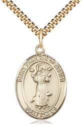 [7036GF/24G] 14kt Gold Filled Saint Francis of Assisi Pendant on a 24 inch Gold Plate Heavy Curb chain