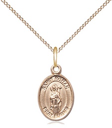 [9315GF/18GF] 14kt Gold Filled Saint Ronan Pendant on a 18 inch Gold Filled Light Curb chain