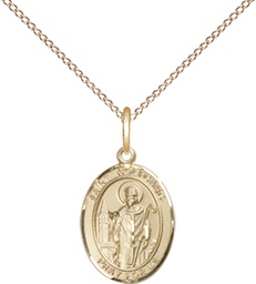 [9323GF/18GF] 14kt Gold Filled Saint Wolfgang Pendant on a 18 inch Gold Filled Light Curb chain