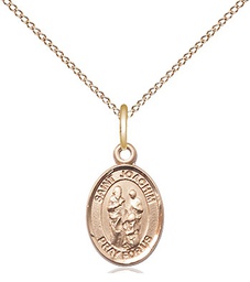 [9348GF/18GF] 14kt Gold Filled Saint Joachim Pendant on a 18 inch Gold Filled Light Curb chain