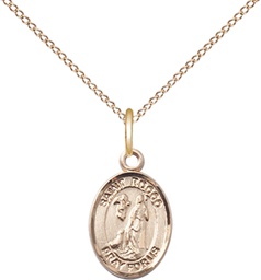 [9377GF/18GF] 14kt Gold Filled Saint Rocco Pendant on a 18 inch Gold Filled Light Curb chain