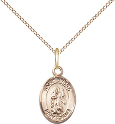 [9386GF/18GF] 14kt Gold Filled Saint Drogo Pendant on a 18 inch Gold Filled Light Curb chain