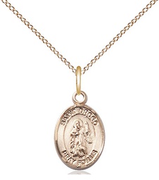 [9386GF/18GF] 14kt Gold Filled Saint Drogo Pendant on a 18 inch Gold Filled Light Curb chain
