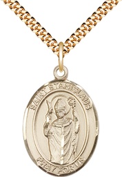 [7124GF/24G] 14kt Gold Filled Saint Stanislaus Pendant on a 24 inch Gold Plate Heavy Curb chain