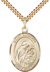 [7225GF/24G] 14kt Gold Filled Saint Aloysius Gonzaga Pendant on a 24 inch Gold Plate Heavy Curb chain