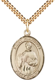 [7240GF/24G] 14kt Gold Filled Saint Placidus Pendant on a 24 inch Gold Plate Heavy Curb chain