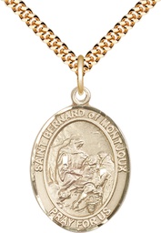 [7264GF/24G] 14kt Gold Filled Saint Bernard of Montjoux Pendant on a 24 inch Gold Plate Heavy Curb chain
