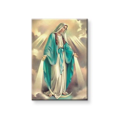 [HI-792-200] O.L. of Grace Magnet