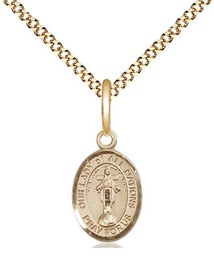 [9242GF/18G] 14kt Gold Filled Our Lady of All Nations Pendant on a 18 inch Gold Plate Light Curb chain