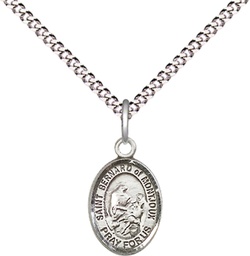 [9264SS/18S] Sterling Silver Saint Bernard of Montjoux Pendant on a 18 inch Light Rhodium Light Curb chain