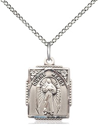[0804DMSS/18SS] Sterling Silver Divine Mercy Pendant on a 18 inch Sterling Silver Light Curb chain