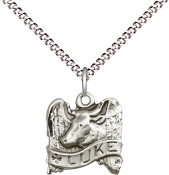 [4212SS/18S] Sterling Silver Saint Luke Pendant on a 18 inch Light Rhodium Light Curb chain