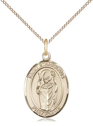 [8124GF/18GF] 14kt Gold Filled Saint Stanislaus Pendant on a 18 inch Gold Filled Light Curb chain