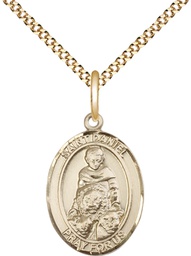 [8024GF/18G] 14kt Gold Filled Saint Daniel Pendant on a 18 inch Gold Plate Light Curb chain