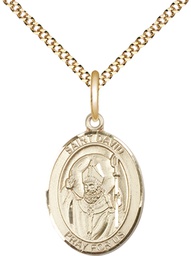 [8027GF/18G] 14kt Gold Filled Saint David of Wales Pendant on a 18 inch Gold Plate Light Curb chain