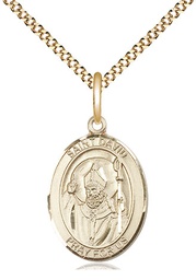 [8027GF/18G] 14kt Gold Filled Saint David of Wales Pendant on a 18 inch Gold Plate Light Curb chain