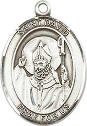 [8027SS] Sterling Silver Saint David of Wales Medal