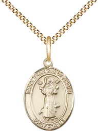 [8036GF/18G] 14kt Gold Filled Saint Francis of Assisi Pendant on a 18 inch Gold Plate Light Curb chain
