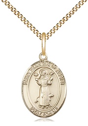 [8036GF/18G] 14kt Gold Filled Saint Francis of Assisi Pendant on a 18 inch Gold Plate Light Curb chain