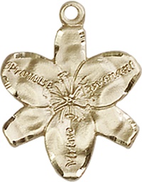 [0088KT] 14kt Gold Chastity Medal
