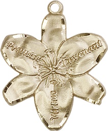 [0089GF] 14kt Gold Filled Chastity Medal