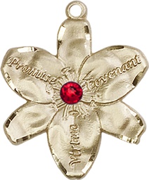 [0089GF-STN7] 14kt Gold Filled Chastity Medal with a 3mm Ruby Swarovski stone