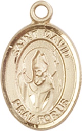 [9027KT] 14kt Gold Saint David of Wales Medal