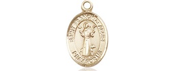 [9036KT] 14kt Gold Saint Francis of Assisi Medal