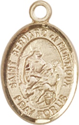 [9264KT] 14kt Gold Saint Bernard of Montjoux Medal