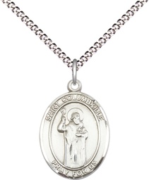 [8399SS/18S] Sterling Silver Saint Columbkille Pendant on a 18 inch Light Rhodium Light Curb chain