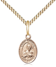 [9000GF/18G] 14kt Gold Filled Saint Andrew the Apostle Pendant on a 18 inch Gold Plate Light Curb chain