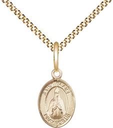 [9010GF/18G] 14kt Gold Filled Saint Blaise Pendant on a 18 inch Gold Plate Light Curb chain