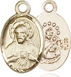 [0702SGF] 14kt Gold Filled Scapular Medal