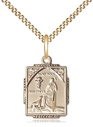 [0804RHGF/18G] 14kt Gold Filled Saint Roch Pendant on a 18 inch Gold Plate Light Curb chain