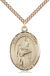 [7017GF/24GF] 14kt Gold Filled Saint Bernadette Pendant on a 24 inch Gold Filled Heavy Curb chain